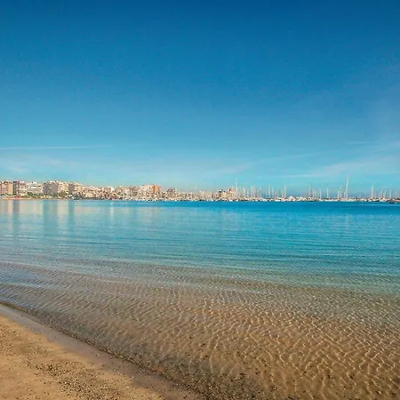 Pet Friendly Apartment In Torrevieja Apartment *
